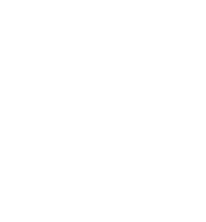 Perito Judicial